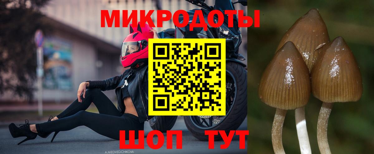 Галлюциногенные грибы Magic Shrooms  Псилоцибиновые грибы мицелий  Калач-на-Дону  Вход с VPN 